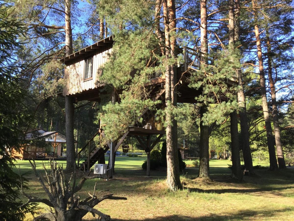 Treehouse Ciekurs Villa Dukuri Exterior foto