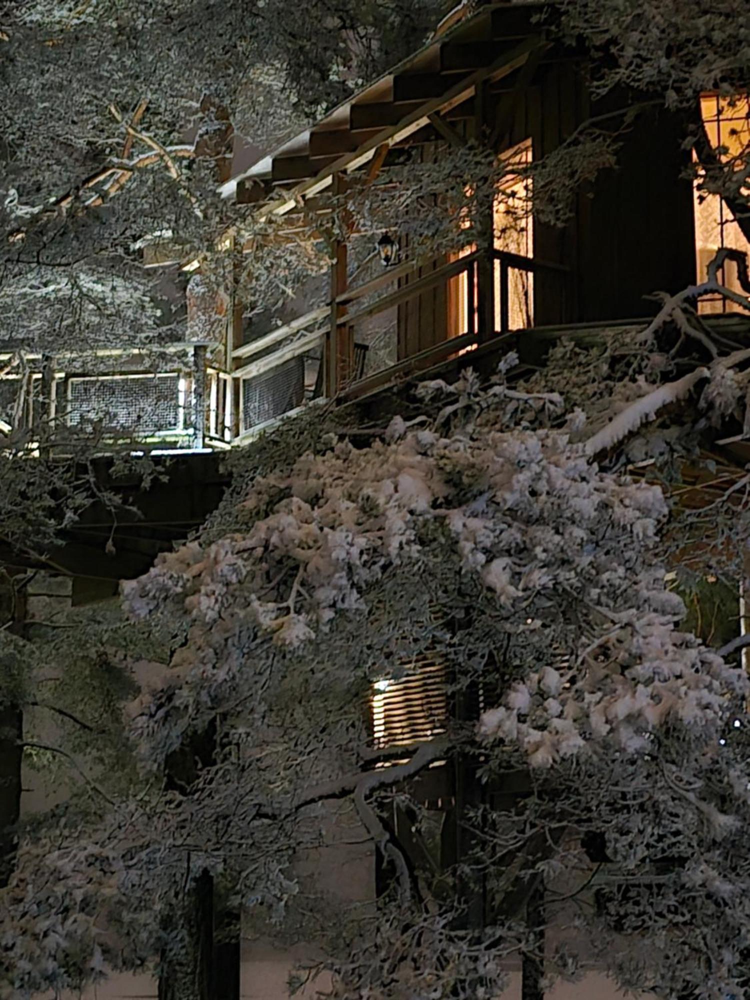 Treehouse Ciekurs Villa Dukuri Exterior foto