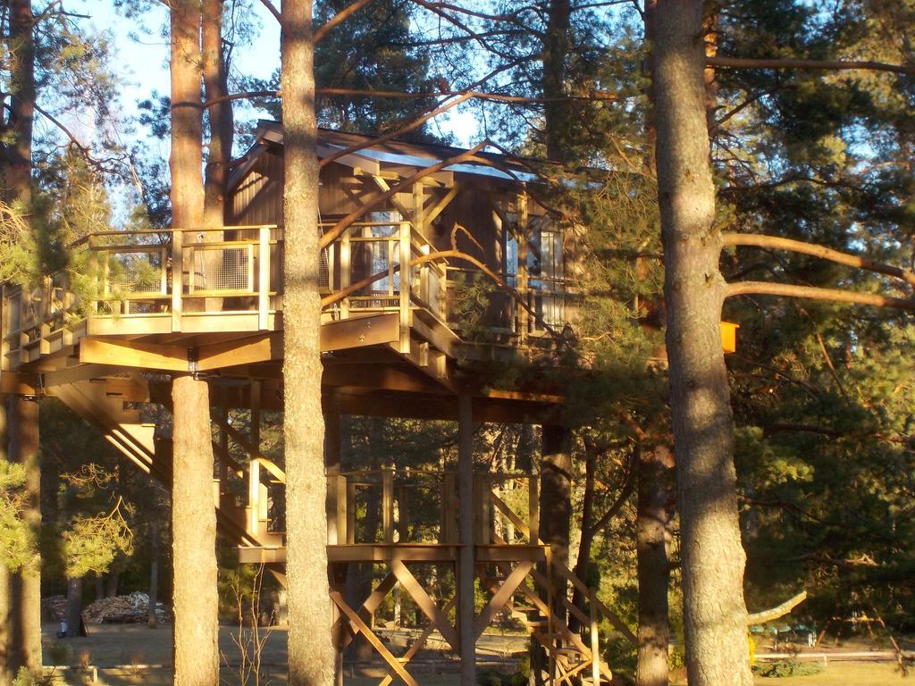 Treehouse Ciekurs Villa Dukuri Exterior foto